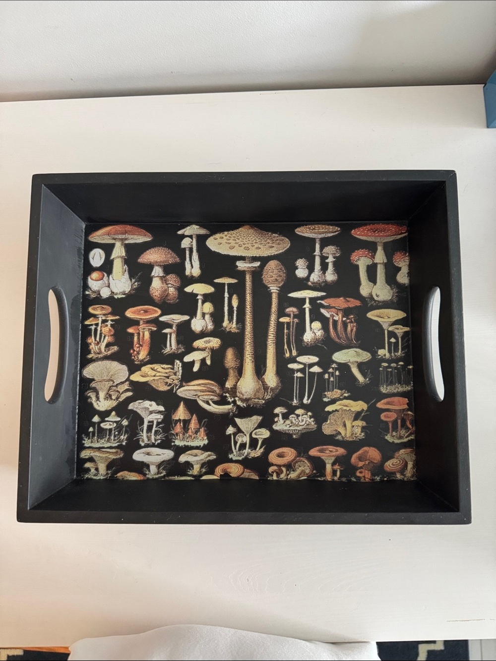 Botanical Mushroom Serving Tray in Black